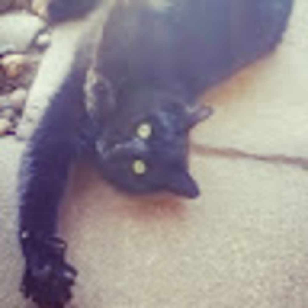 Meet your Posher, D.